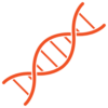 DNA Genetic Testing Icon